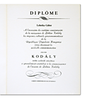 11-kodaly-diploma